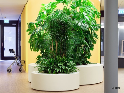 Plantenbakken