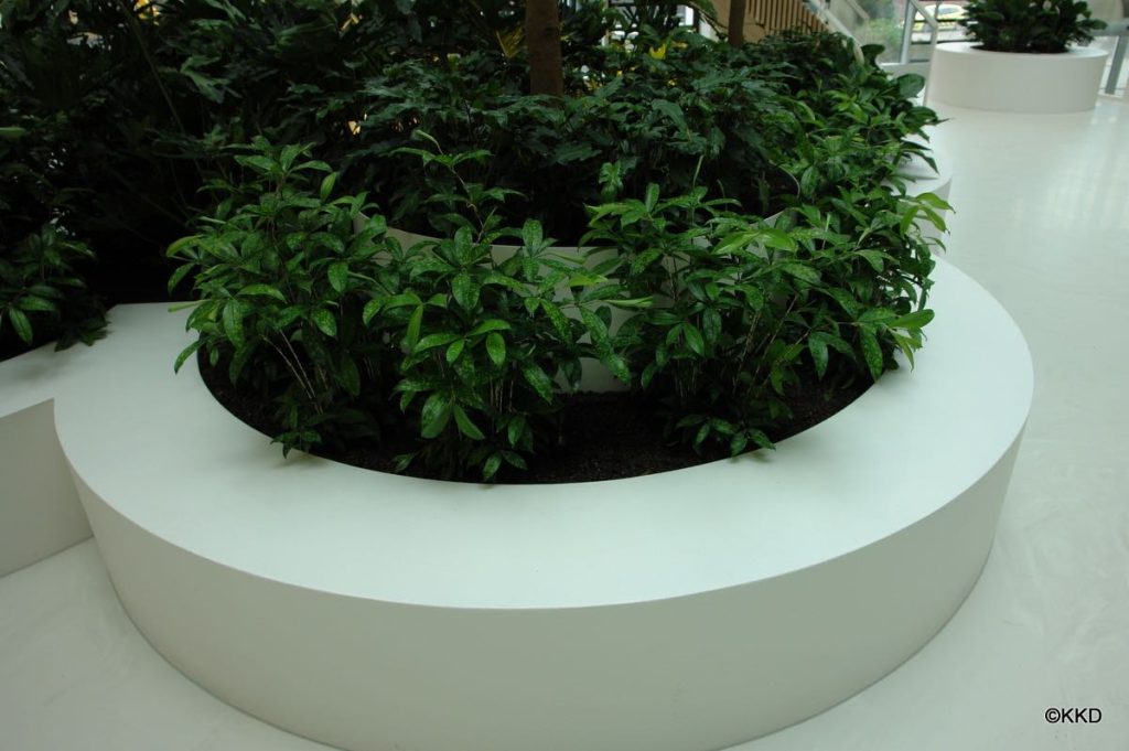EPS plantenbakken voor binnentuin, foto 9