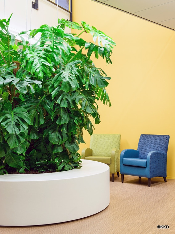 Grote kunststof plantenbak, foto 3