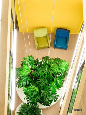 Grote kunststof plantenbak, foto 4