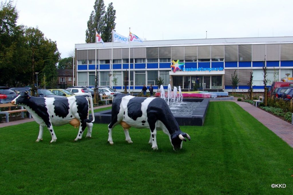 Piepschuim logo Friesland Campina, foto 10